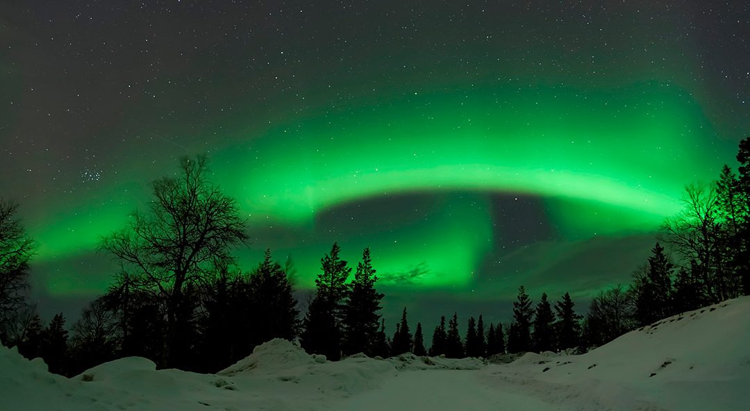 Lapponia  Immacolata 2024